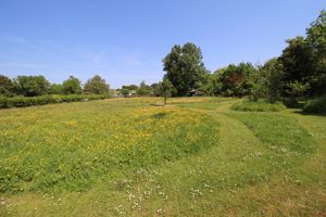 Paddock- click for photo gallery